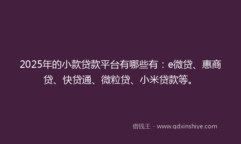 2025年的小款贷款平台有哪些有：e微贷、惠商贷、快贷通、微粒贷、小米贷款等。