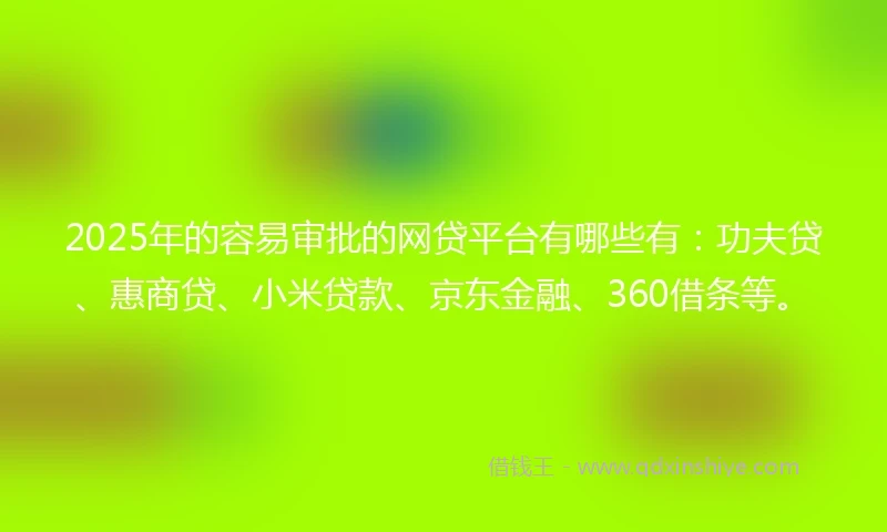 2025年的容易审批的网贷平台有哪些有：功夫贷、惠商贷、小米贷款、京东金融、360借条等。