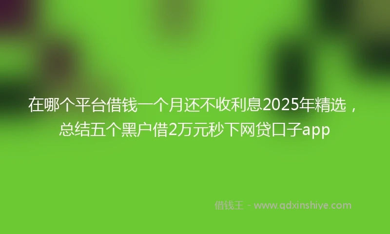 在哪个平台借钱一个月还不收利息2025年精选，总结五个黑户借2万元秒下网贷口子app