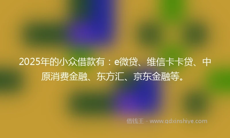 2025年的小众借款有：e微贷、维信卡卡贷、中原消费金融、东方汇、京东金融等。