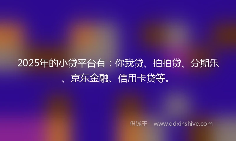 2025年的小贷平台有：你我贷、拍拍贷、分期乐、京东金融、信用卡贷等。