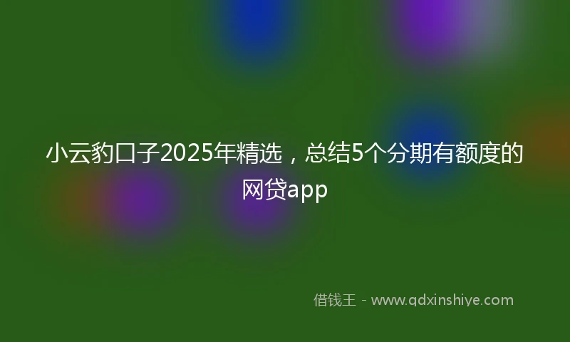 小云豹口子2025年精选，总结5个分期有额度的网贷app