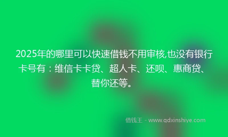 2025年的哪里可以快速借钱不用审核,也没有银行卡号有：维信卡卡贷、超人卡、还呗、惠商贷、替你还等。