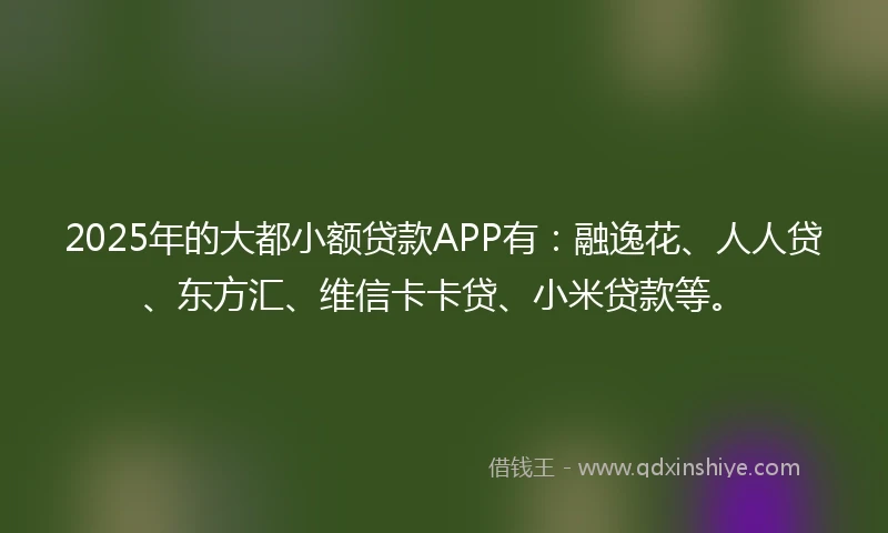 2025年的大都小额贷款APP有：融逸花、人人贷、东方汇、维信卡卡贷、小米贷款等。
