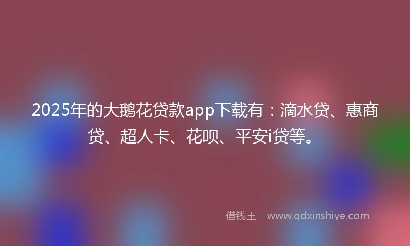 2025年的大鹅花贷款app下载有：滴水贷、惠商贷、超人卡、花呗、平安i贷等。