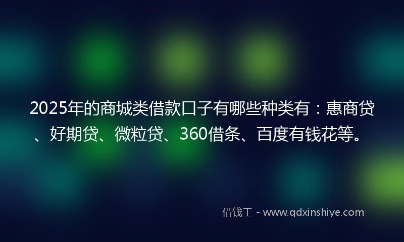 2025年的商城类借款口子有哪些种类有：惠商贷、好期贷、微粒贷、360借条、百度有钱花等。