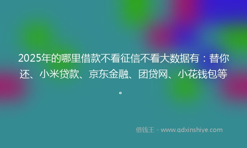 2025年的哪里借款不看征信不看大数据有：替你还、小米贷款、京东金融、团贷网、小花钱包等。