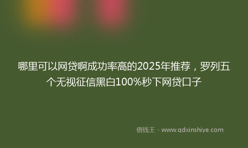 哪里可以网贷啊成功率高的2025年推荐，罗列五个无视征信黑白100%秒下网贷口子