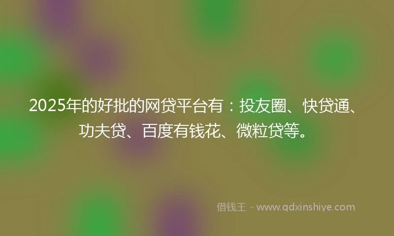 2025年的好批的网贷平台有：投友圈、快贷通、功夫贷、百度有钱花、微粒贷等。