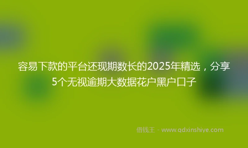容易下款的平台还现期数长的2025年精选，分享5个无视逾期大数据花户黑户口子