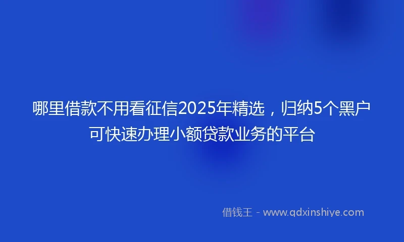 哪里借款不用看征信2025年精选，归纳5个黑户可快速办理小额贷款业务的平台