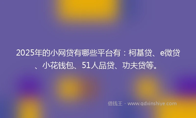 2025年的小网贷有哪些平台有：柯基贷、e微贷、小花钱包、51人品贷、功夫贷等。