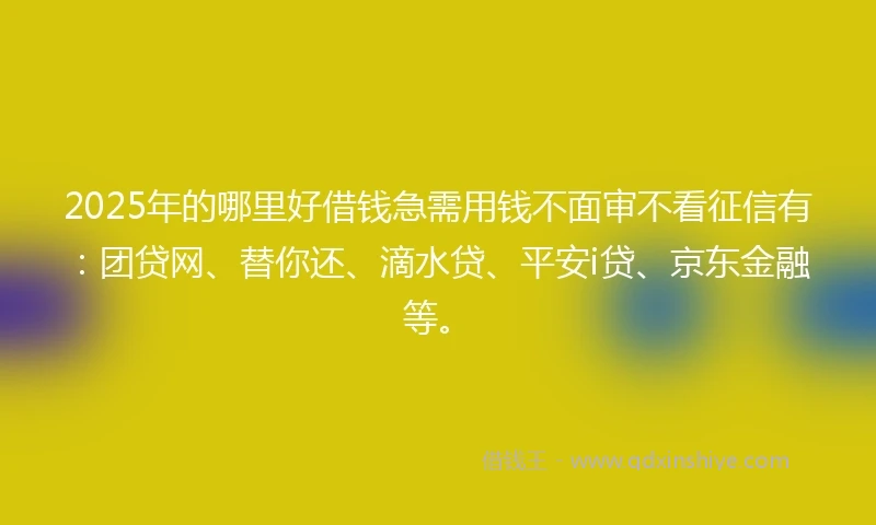 2025年的哪里好借钱急需用钱不面审不看征信有：团贷网、替你还、滴水贷、平安i贷、京东金融等。