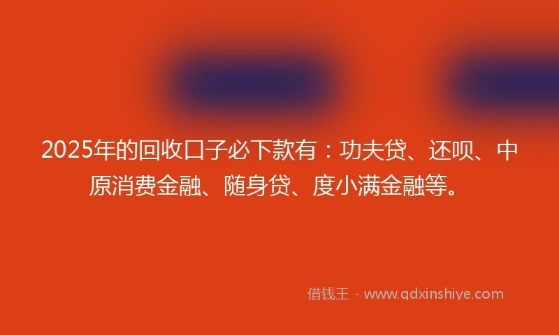 2025年的回收口子必下款有：功夫贷、还呗、中原消费金融、随身贷、度小满金融等。
