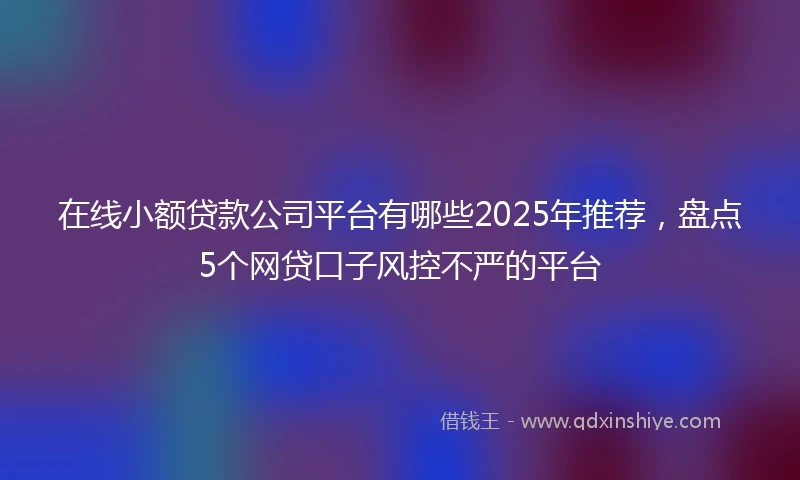 在线小额贷款公司平台有哪些2025年推荐，盘点5个网贷口子风控不严的平台