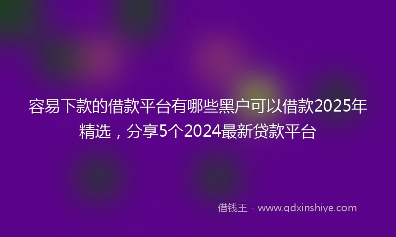 容易下款的借款平台有哪些黑户可以借款2025年精选，分享5个2024最新贷款平台