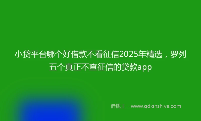 小贷平台哪个好借款不看征信2025年精选，罗列五个真正不查征信的贷款app