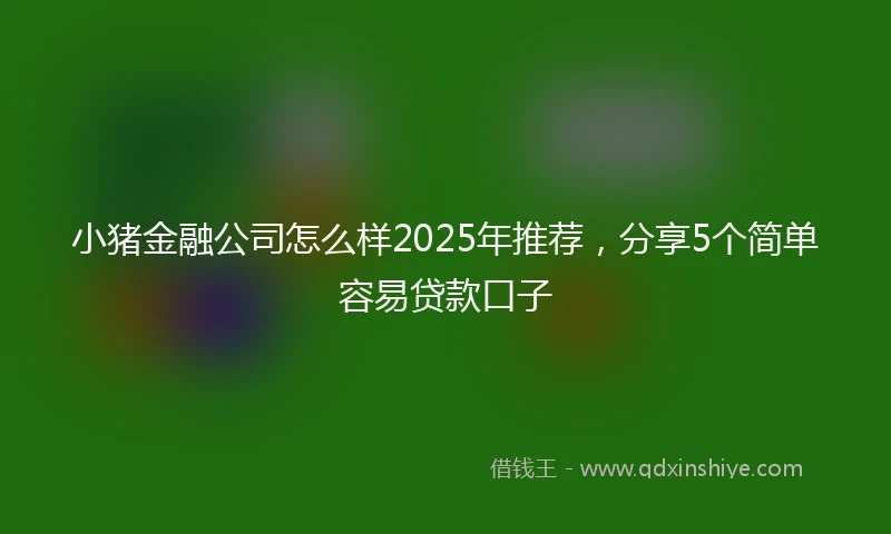小猪金融公司怎么样2025年推荐，分享5个简单容易贷款口子