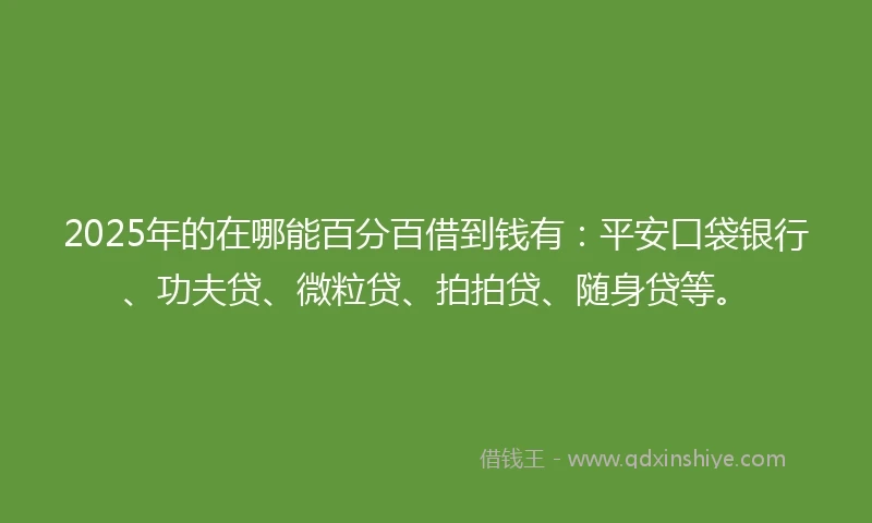 2025年的在哪能百分百借到钱有：平安口袋银行、功夫贷、微粒贷、拍拍贷、随身贷等。