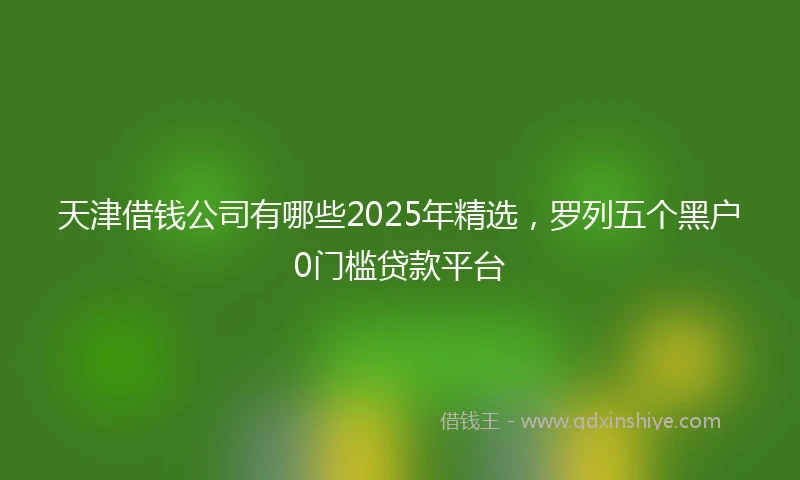 天津借钱公司有哪些2025年精选，罗列五个黑户0门槛贷款平台