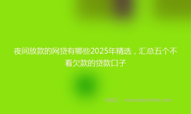 夜间放款的网贷有哪些2025年精选，汇总五个不看欠款的贷款口子