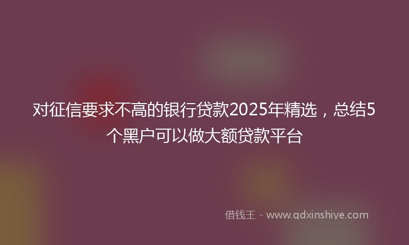 对征信要求不高的银行贷款2025年精选，总结5个黑户可以做大额贷款平台