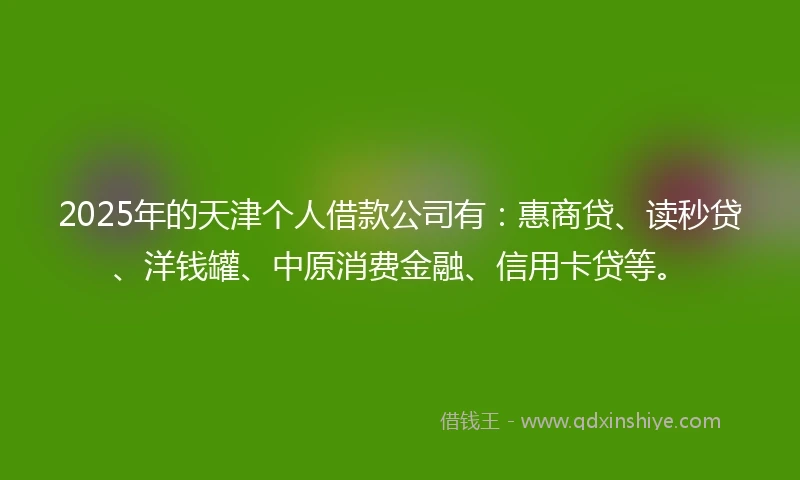 2025年的天津个人借款公司有：惠商贷、读秒贷、洋钱罐、中原消费金融、信用卡贷等。