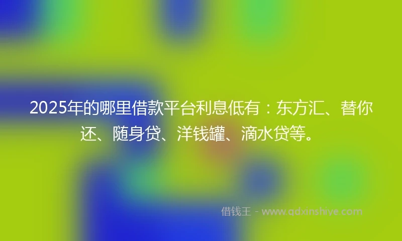 2025年的哪里借款平台利息低有：东方汇、替你还、随身贷、洋钱罐、滴水贷等。