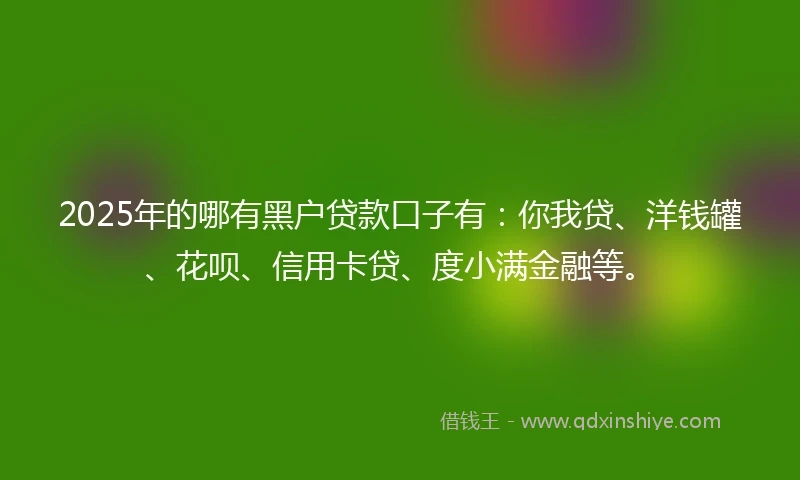 2025年的哪有黑户贷款口子有：你我贷、洋钱罐、花呗、信用卡贷、度小满金融等。