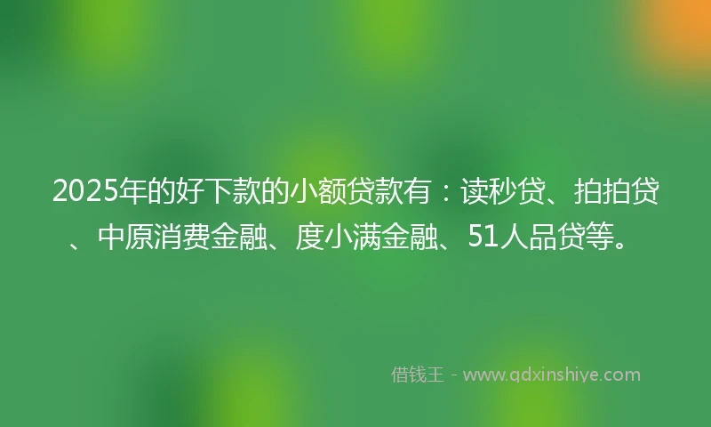 2025年的好下款的小额贷款有：读秒贷、拍拍贷、中原消费金融、度小满金融、51人品贷等。