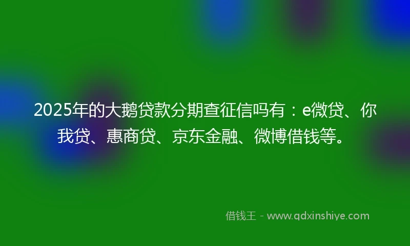 2025年的大鹅贷款分期查征信吗有：e微贷、你我贷、惠商贷、京东金融、微博借钱等。