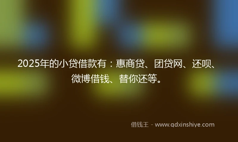 2025年的小贷借款有：惠商贷、团贷网、还呗、微博借钱、替你还等。