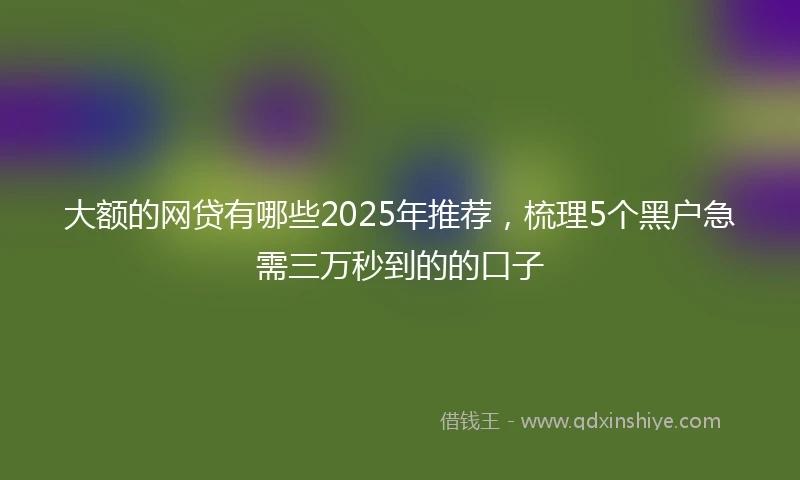 大额的网贷有哪些2025年推荐，梳理5个黑户急需三万秒到的的口子