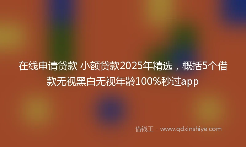 在线申请贷款 小额贷款2025年精选，概括5个借款无视黑白无视年龄100%秒过app