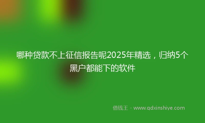哪种贷款不上征信报告呢2025年精选，归纳5个黑户都能下的软件