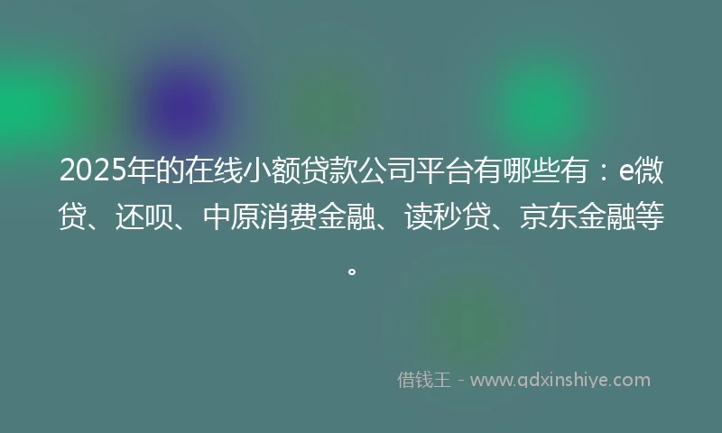 2025年的在线小额贷款公司平台有哪些有：e微贷、还呗、中原消费金融、读秒贷、京东金融等。
