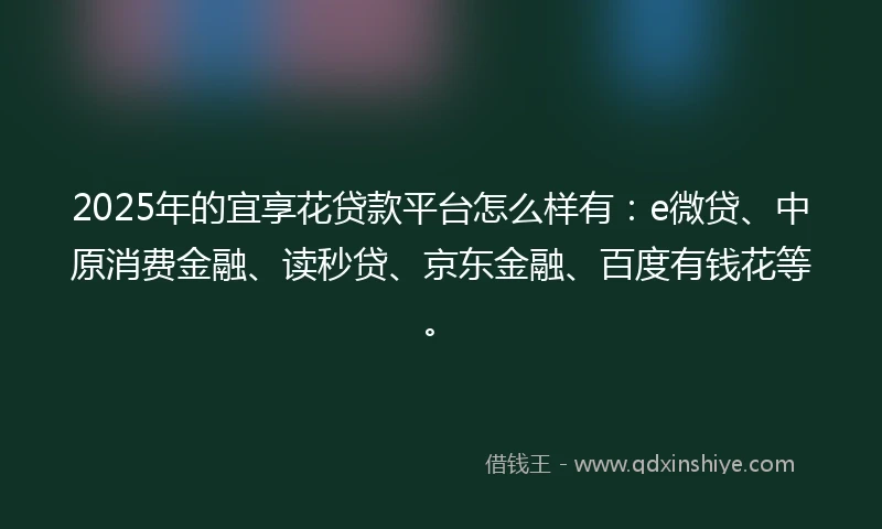 2025年的宜享花贷款平台怎么样有：e微贷、中原消费金融、读秒贷、京东金融、百度有钱花等。