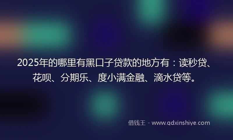 2025年的哪里有黑口子贷款的地方有：读秒贷、花呗、分期乐、度小满金融、滴水贷等。