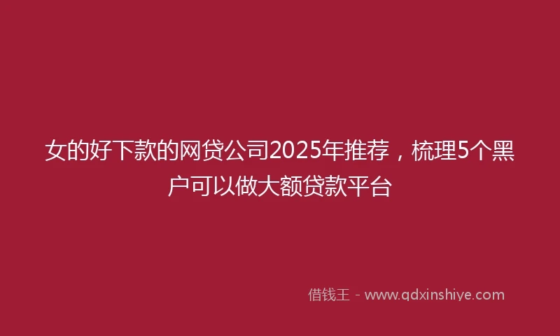 女的好下款的网贷公司2025年推荐，梳理5个黑户可以做大额贷款平台