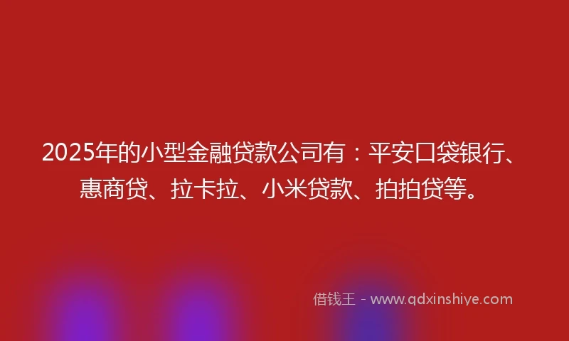 2025年的小型金融贷款公司有：平安口袋银行、惠商贷、拉卡拉、小米贷款、拍拍贷等。