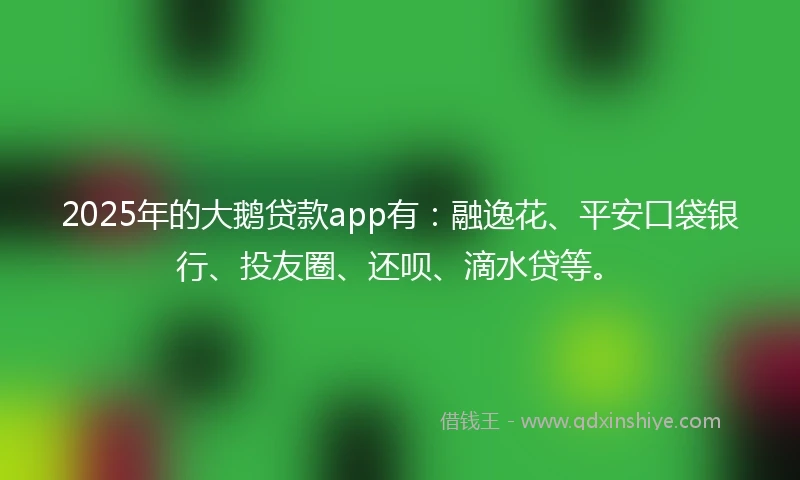 2025年的大鹅贷款app有：融逸花、平安口袋银行、投友圈、还呗、滴水贷等。