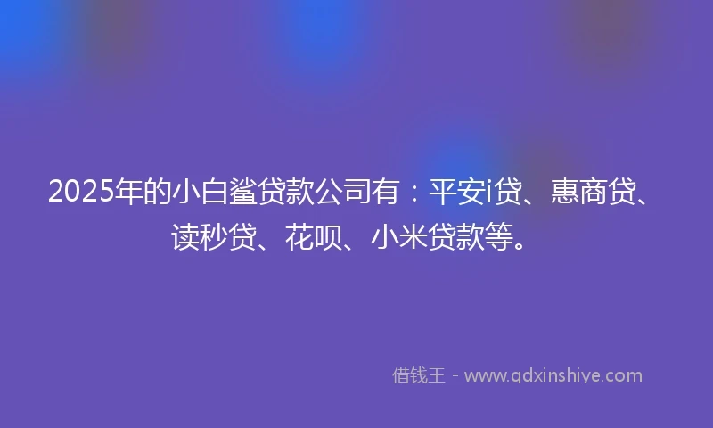 2025年的小白鲨贷款公司有：平安i贷、惠商贷、读秒贷、花呗、小米贷款等。