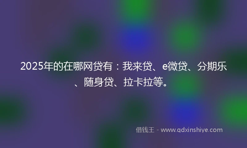 2025年的在哪网贷有：我来贷、e微贷、分期乐、随身贷、拉卡拉等。