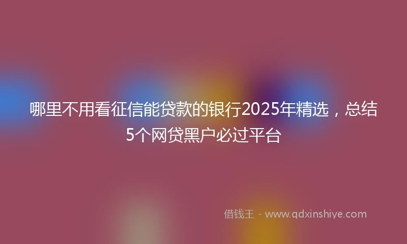 哪里不用看征信能贷款的银行2025年精选，总结5个网贷黑户必过平台