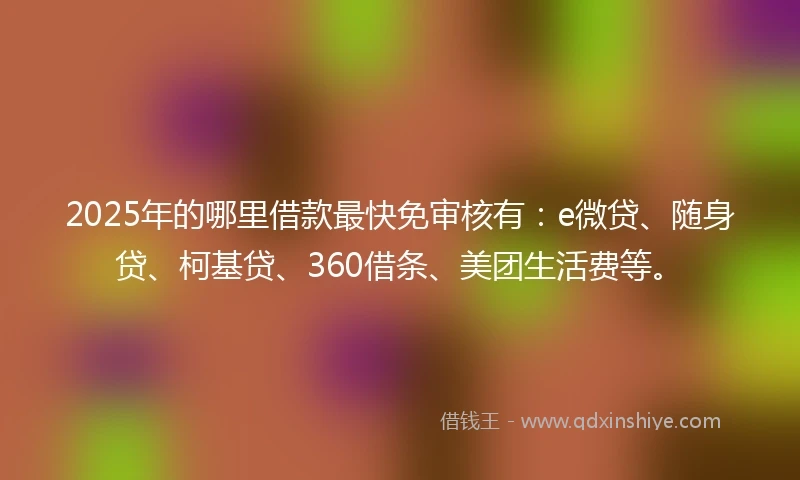 2025年的哪里借款最快免审核有：e微贷、随身贷、柯基贷、360借条、美团生活费等。