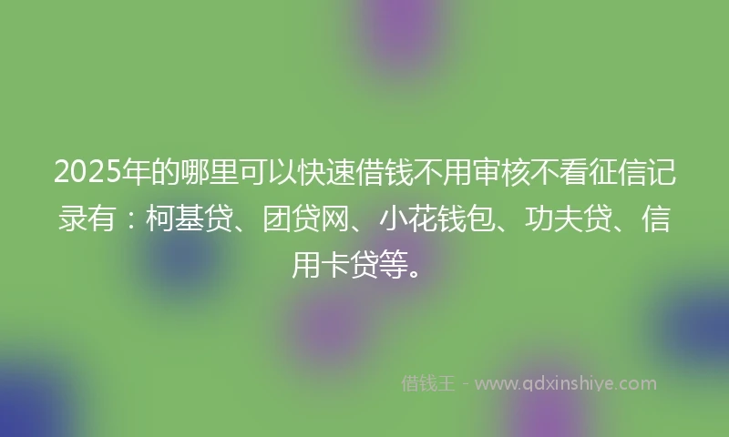 2025年的哪里可以快速借钱不用审核不看征信记录有：柯基贷、团贷网、小花钱包、功夫贷、信用卡贷等。