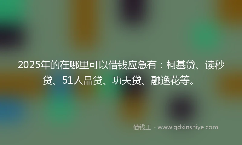 2025年的在哪里可以借钱应急有：柯基贷、读秒贷、51人品贷、功夫贷、融逸花等。