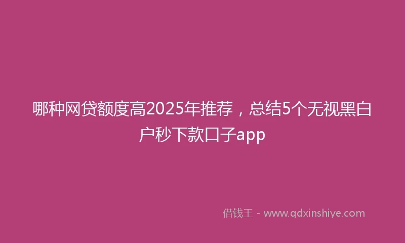 哪种网贷额度高2025年推荐，总结5个无视黑白户秒下款口子app