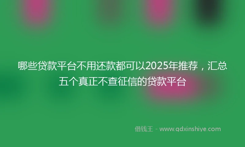 哪些贷款平台不用还款都可以2025年推荐，汇总五个真正不查征信的贷款平台