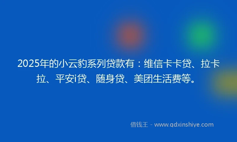 2025年的小云豹系列贷款有：维信卡卡贷、拉卡拉、平安i贷、随身贷、美团生活费等。
